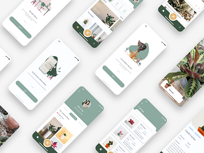 Plant Enciclopedia App UI/UX Concept