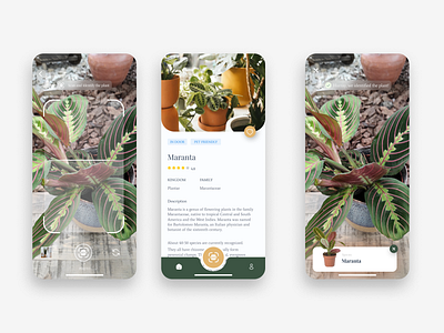 Plant Enciclopedia App - UI/UX Concept Design