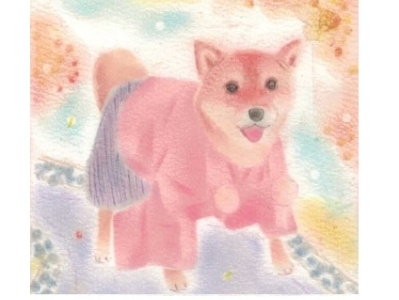 Shiba with kimono