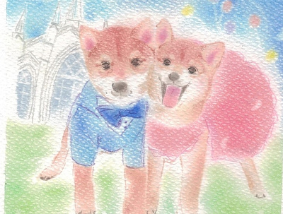 shibacouple