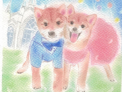 Shiba couple animals