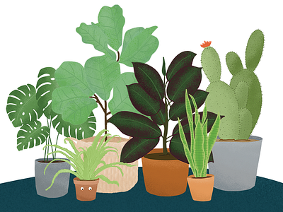 Plant Family custom illustration design drawing illustrate illustrating illustration plant lady plants procreate
