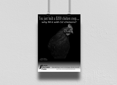 Black Feather Farm Ad advertising advertisment branding branding and identity branding design photography promotion