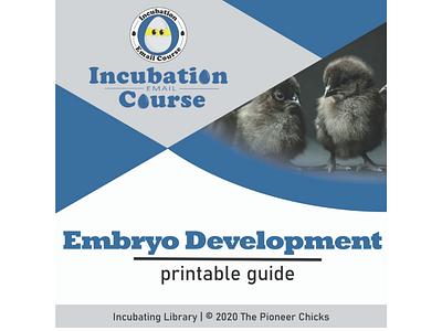 Incubating Library Icons