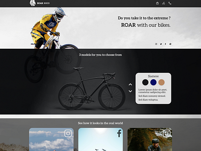 Roar Bikes bikes design landingpage product ui ux web