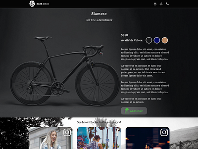 Roar Bikes bikes design product product page ui ux web
