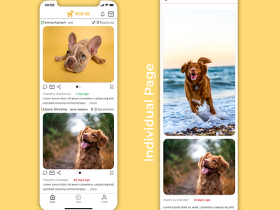 Rescue Pet mobile app design pets product rescue ui ui design ux ux design