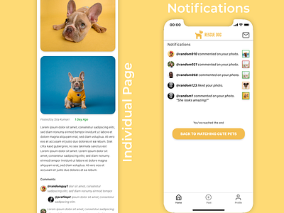 Rescue Pet branding design mobile app design pets product rescue ui ui design ux ux design