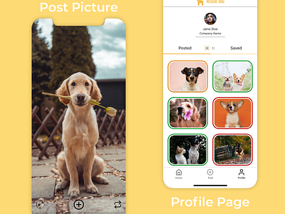 Rescue Pet branding design mobile app design pets product rescue ui ui design ux ux design