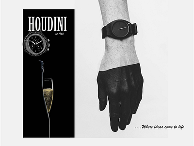 Houdini design flyer design