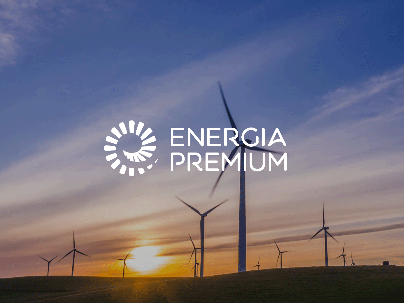 Energía Premium branding design logo print