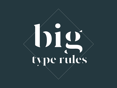 Type & Color Inspiration design typography vector