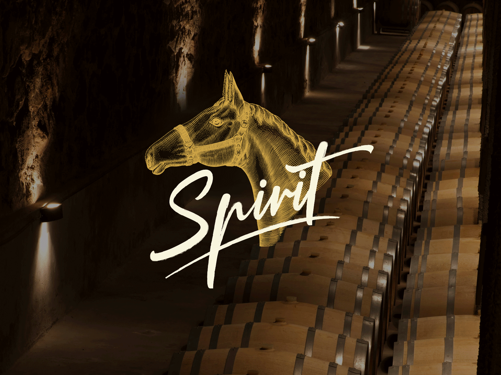 Spirit | Cabernet Franc argentina branding design wine