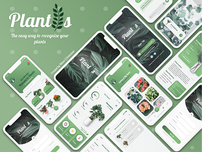 Plantis - Plant Care Mobile App Design