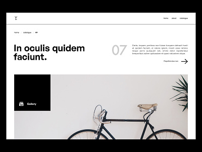 Bicycle 07 concept page clean minimal minimalwebdesign webdesign