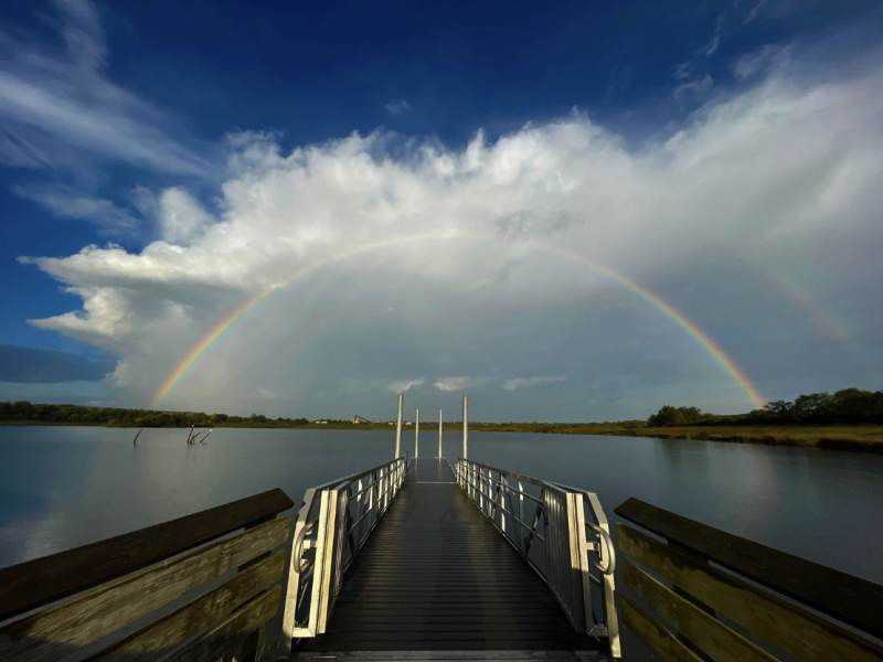 Wonder Rainbow by Batool on Dribbble