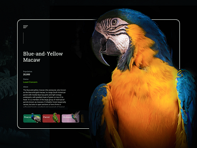 Wildlife Compendium bird creative figma nature ui ui design ux web site design