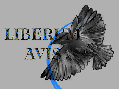 Liberum Avis art artwork blackwhite design pen procreate raster wording