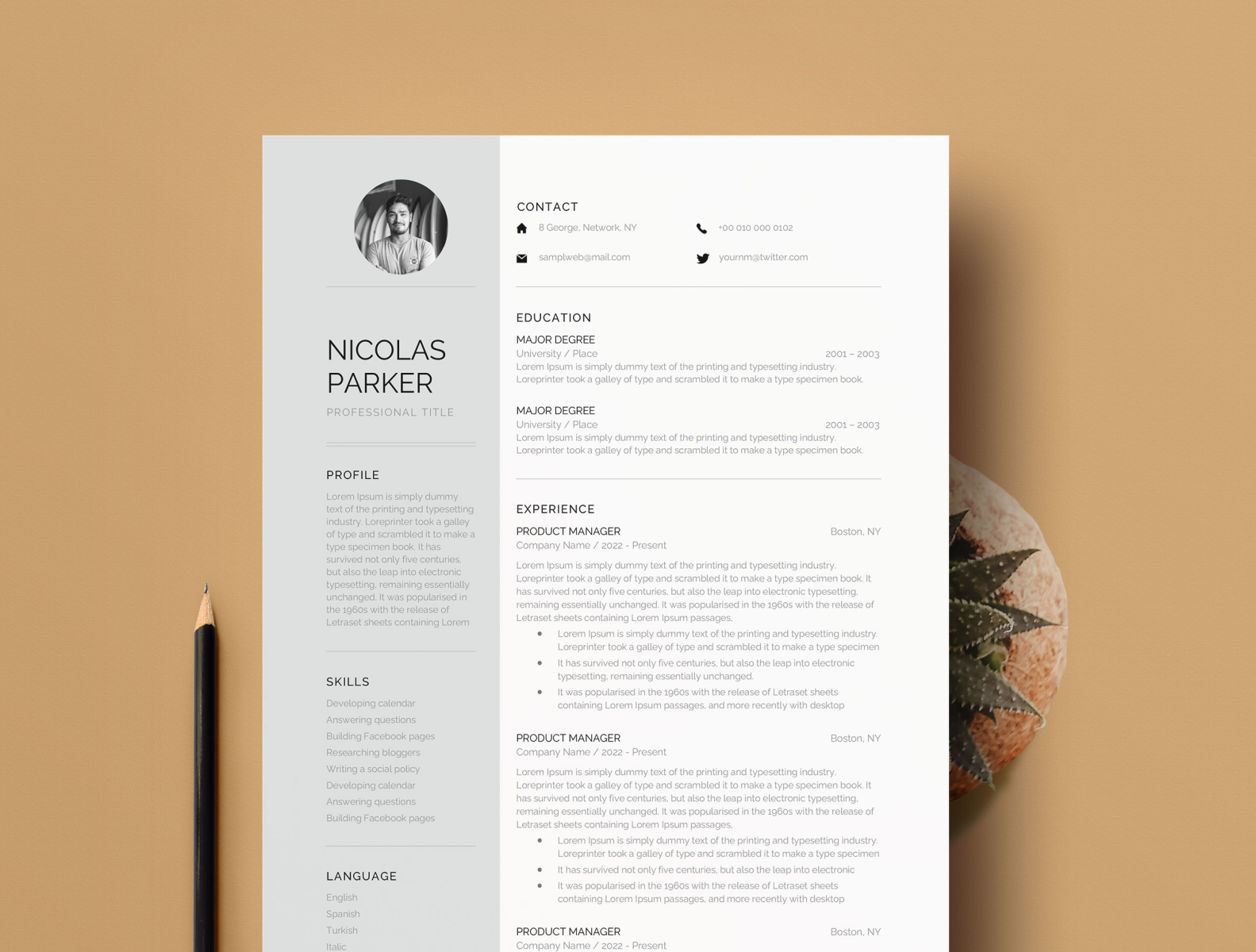 Free Professional Modern Resume Template For Pages, Word By Paul Resume 