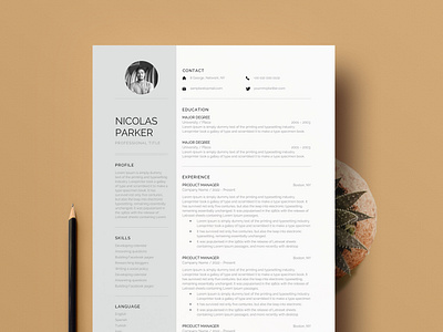 Free Professional Modern Resume Template for Pages, Word free freeresume freeresumetemplate