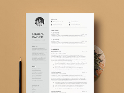 Free Professional Modern Resume Template for Pages, Word