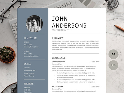 Modern and experienced professionals resume template one page resume builder
