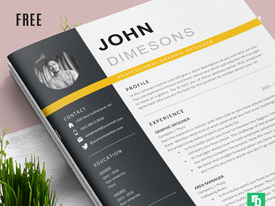 Free Professional and Minimal Resume CV US & A4 size Simple Word free resume word