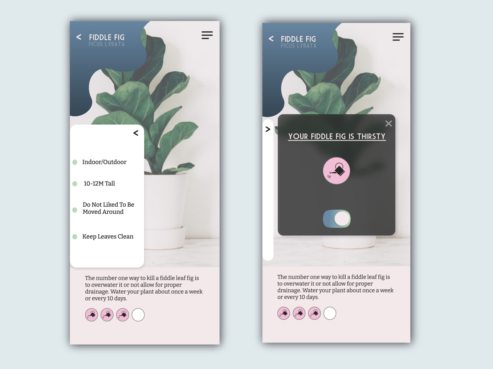 plant-water-app-by-erica-straub-on-dribbble