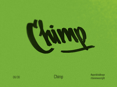 Chimp #aperilchallenge 06/30