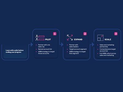 Account-based Marketing Adoption Path infographic infographic design infography