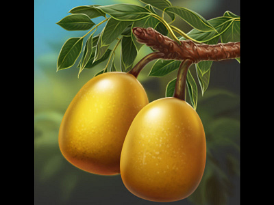 Guess, which fruit is shown on the illustration?