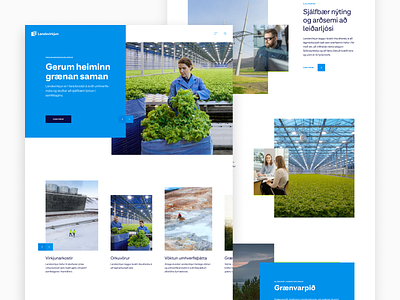 Landsvirkjun - Frontpage clean electricity energy frontpage green home hydro iceland power thermal website