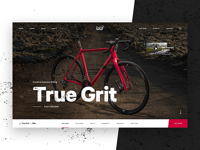Lauf - True Grit Product Page bike biking gritty grunge product website