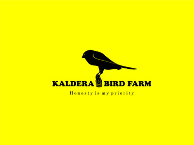 KALDERA BIRD FARM animation branding design icon illustration logo