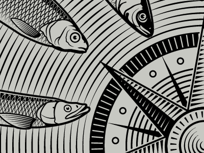 Wheel of Fish fish game movies show uhf wheel
