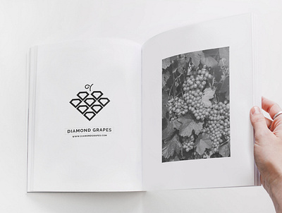 Grape Diamond Book book branding diamond grapes grapes graphic design illustration illustrator logotype minimal typography vector