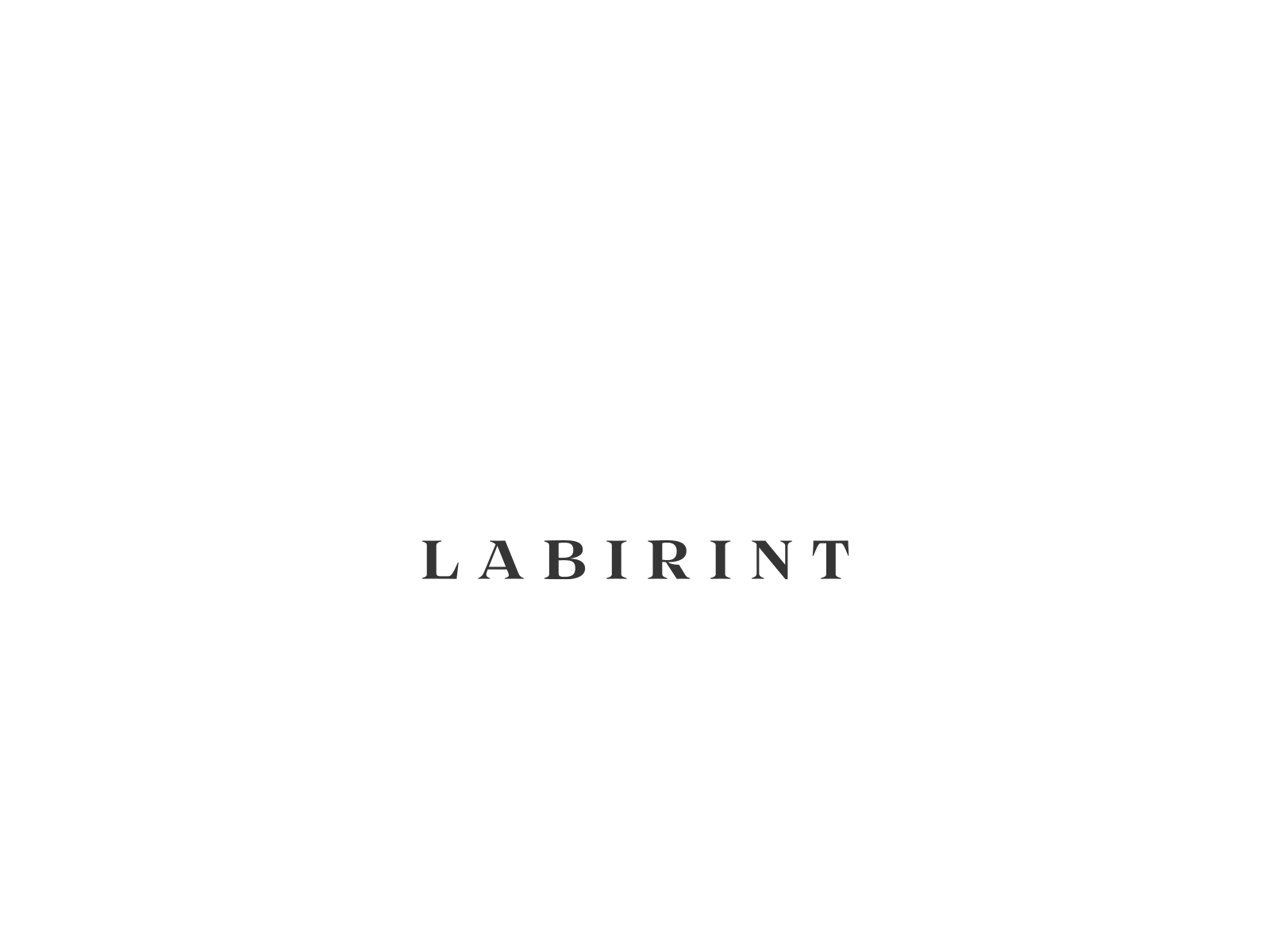 Labirint Logo Design animation bold branding business design graphicdesign logo typography vector