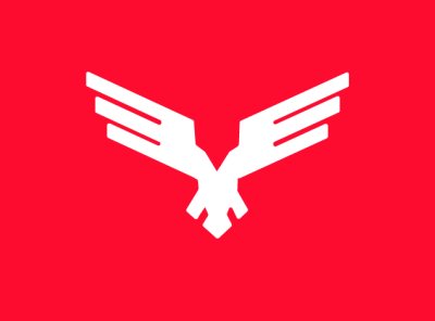 EAGLE LOGO branding eagle logo graphic design illustration logo brand logo design typography