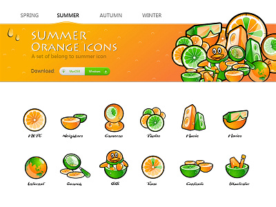 Summer Orange Icons camera icons illustrator internet movie music orange qq search summer theme time