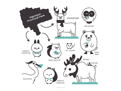 Algonquin Park Animals animals character cute design happy illustration illustrator vector