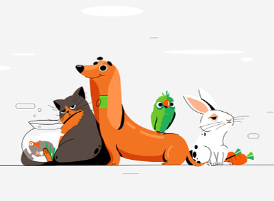 My Favorite Pets 🐕🐈🐇🐦 2d character 2d illustration animals bird cat cat character dog dogs fish flat design flatdesign illustration illustrator motion graphics pets petshop rabbit