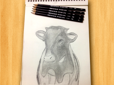 Pencil Sketching cow dairy farm pencil promin sketching