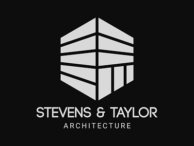 Daily Logo Challenge #43 - Stevens & Taylor