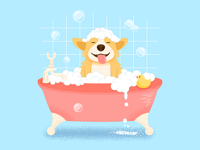 Dog in the bath