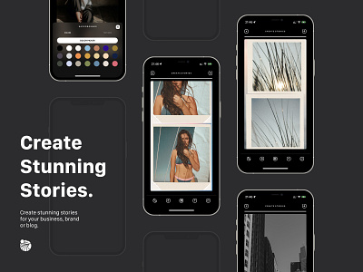 Surf: Web Stories & Templates app design ios logo ui uiux userexperience userinterface ux