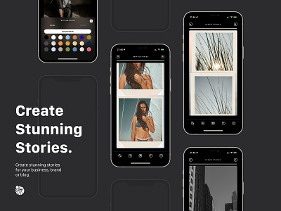 Surf: Web Stories & Templates