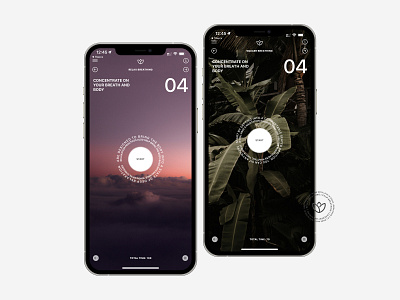 BreatheIn: Calm Breathing app design ios ui uiux userexperience userinterface ux