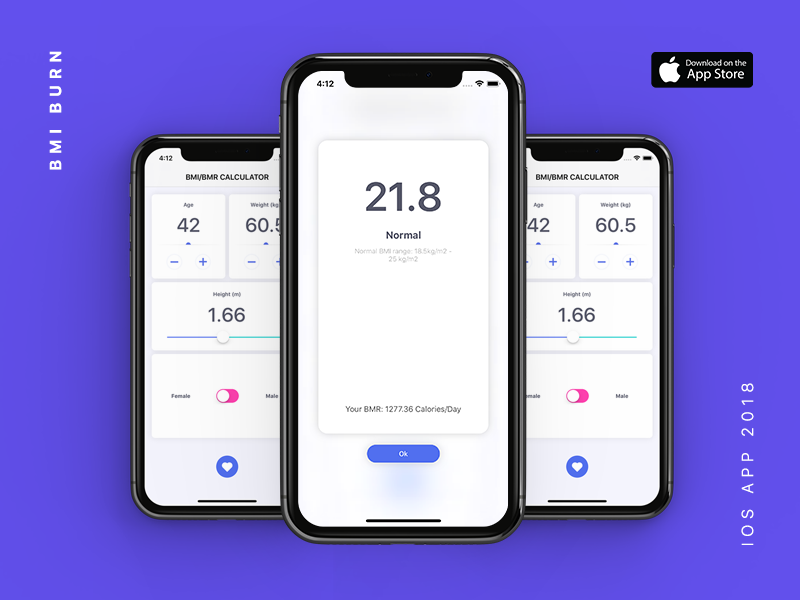 BMI Burn age weight health body index mass bmi calories bmr ux ui app