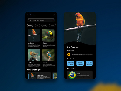 Birdwatcher App app application bird birds design mobile mobile app mobile application mobile design ui ux