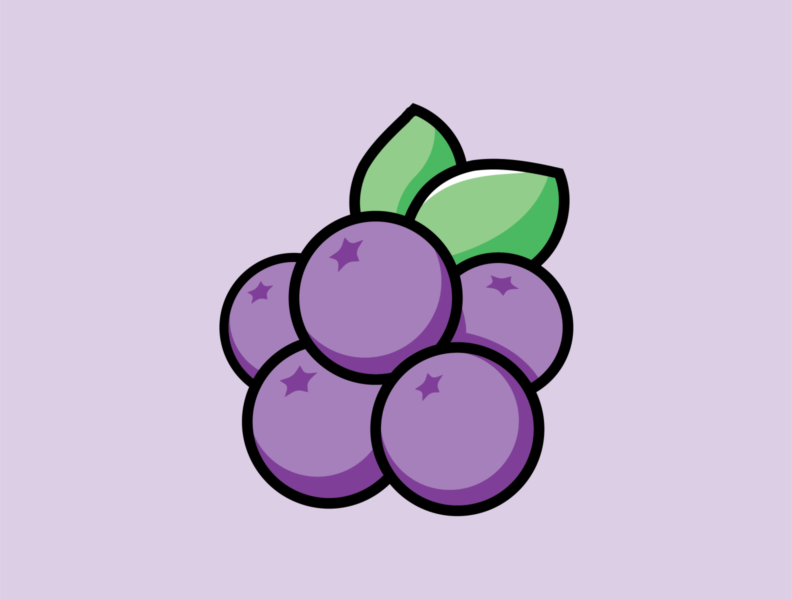 BERRY by Mohitbadwaik on Dribbble